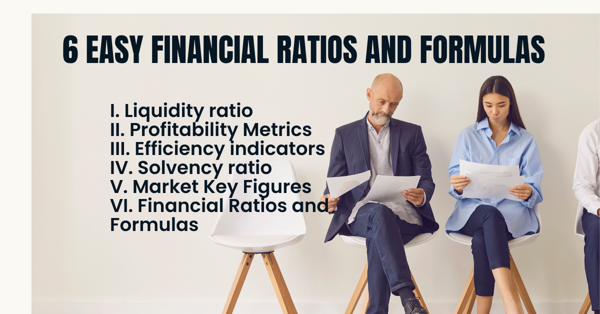 Read more about the article 6 Easy Financial Ratios and Formulas for Empower Your Success