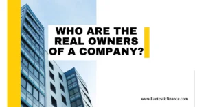 Read more about the article WHO ARE THE REAL OWNERS OF A COMPANY?