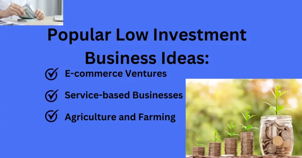 Business Ideas with Low Investment in Pakistan