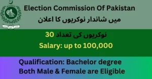 Read more about the article Data Entry Operator Jobs in ECP