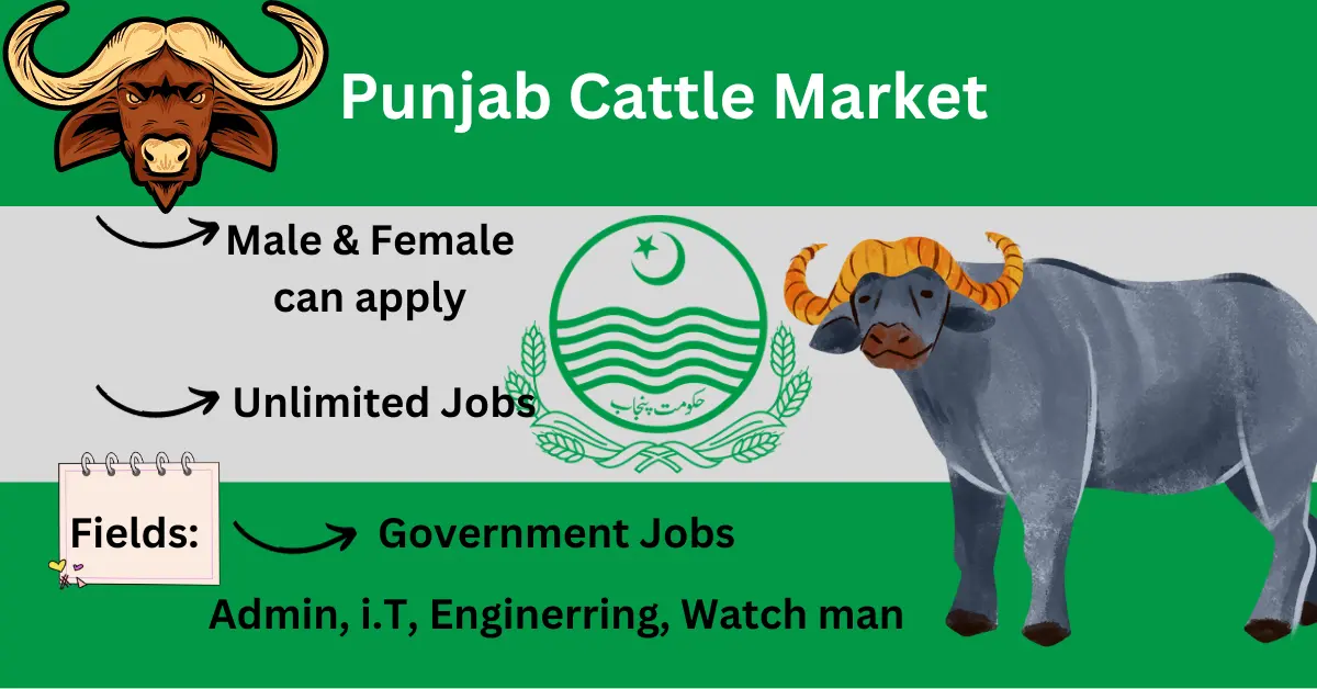 Read more about the article New Jobs in Punjab Cattle market Dec 2023