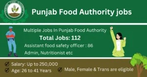 Read more about the article 112 Jobs in Punjab Food Authority