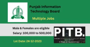 Read more about the article New Jobs in Punjab Information Technology Board Dec-2023