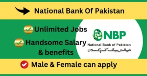 Read more about the article New Best Jobs In National Bank of Pakistan Jan 2024