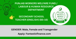 Read more about the article New Teaching Jobs in HRD Punjab 2024