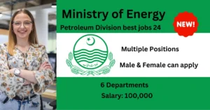 Read more about the article Ministry of Energy Petroleum Division best jobs 24